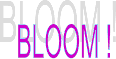 BloomStudio